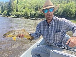 Yampa River Trout